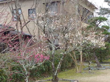 P1360832.JPG