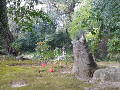 P1360839.JPG
