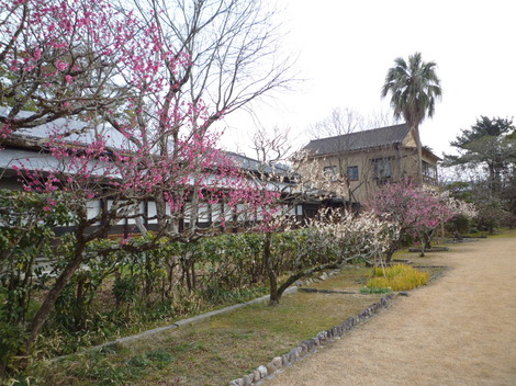P1360843.JPG