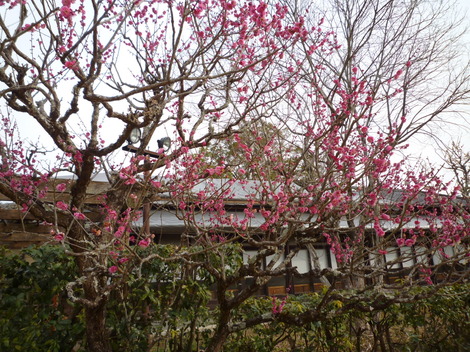 P1360844.JPG