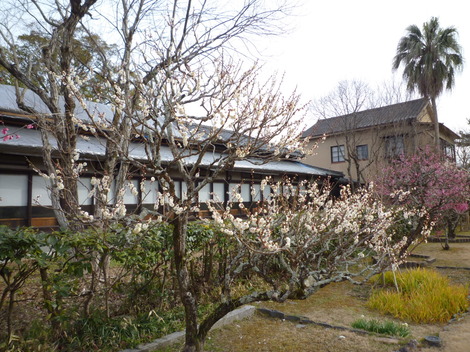 P1360845.JPG