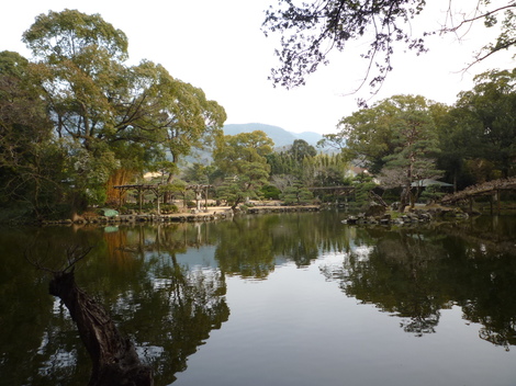 P1360853.JPG