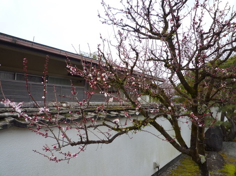P1360856.JPG
