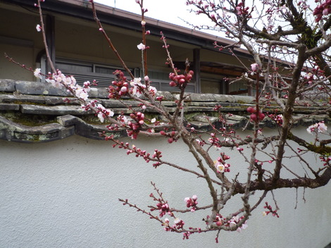 P1360857.JPG