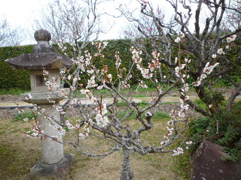 P1360864.JPG