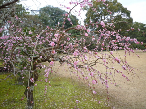 P1360866.JPG
