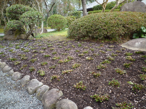 P1360871.JPG