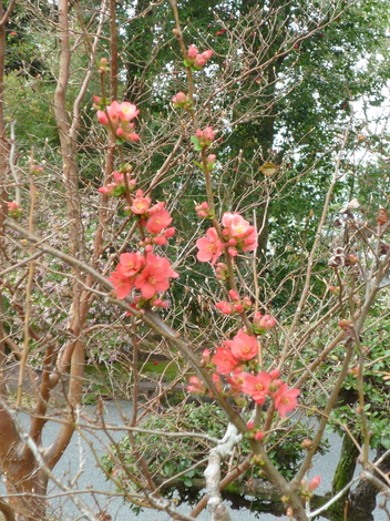 P1360874.JPG
