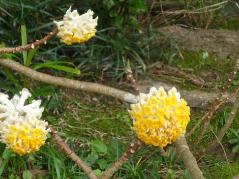 P1360885.JPG
