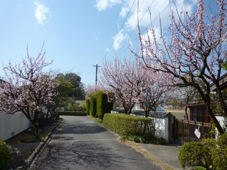 P1360886.JPG