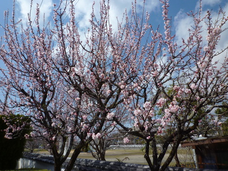 P1360888.JPG