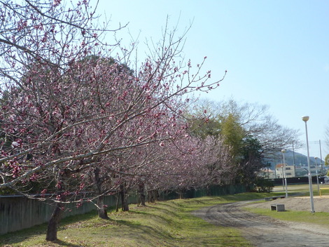 P1360900.JPG