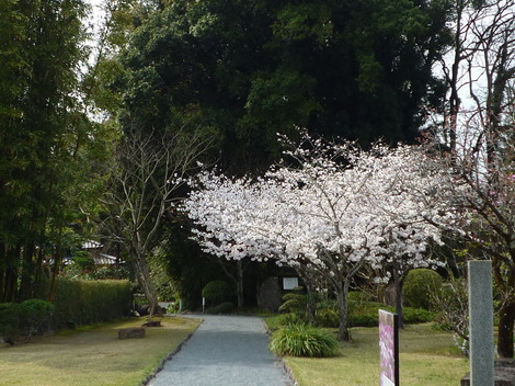 P1360905.JPG