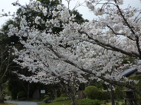 P1360907.JPG