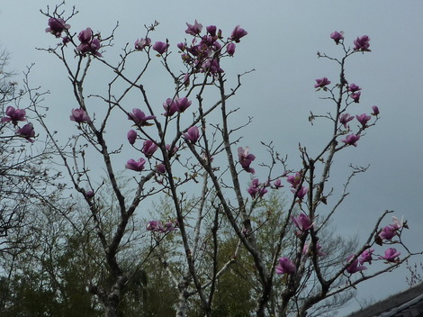 P1360912.JPG
