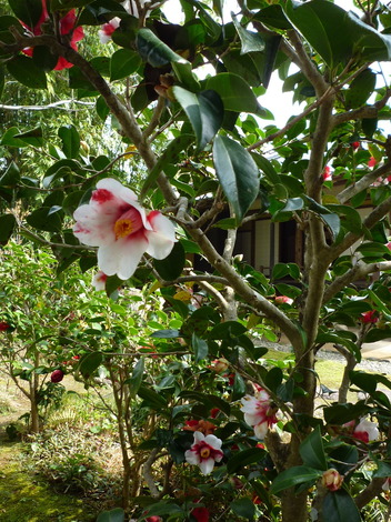 P1360914.JPG