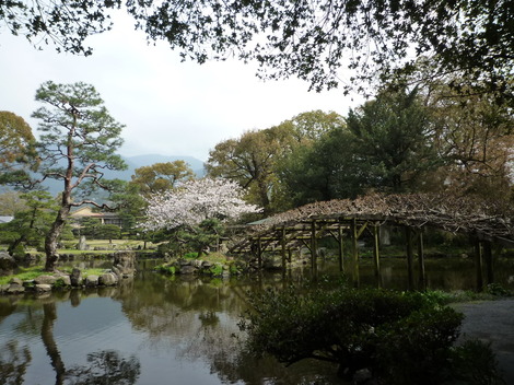 P1360917.JPG