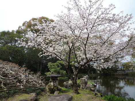 P1360921.JPG