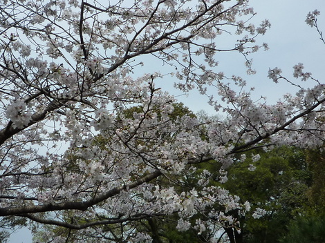 P1360923.JPG