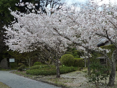 P1360939.JPG