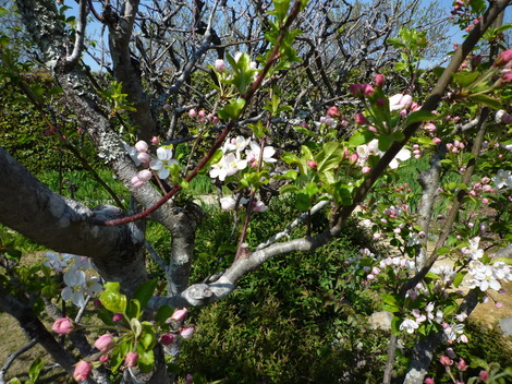 P1370217.JPG