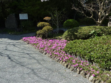 P1370219.JPG