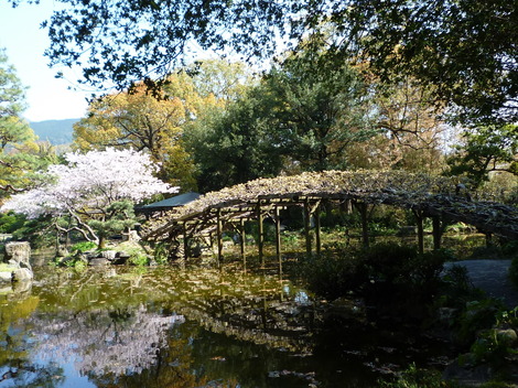 P1370226.JPG