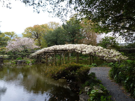 P1370250.JPG