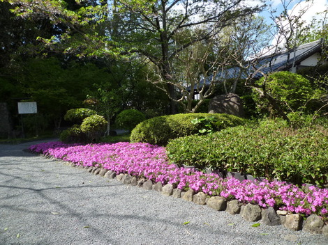 P1370256.JPG