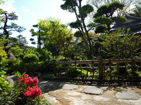 P1370257.JPG