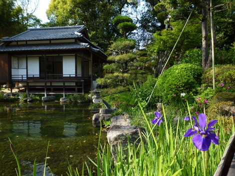 P1370283.JPG