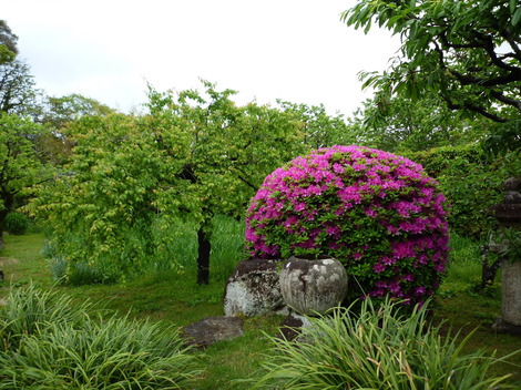 P1370291.JPG