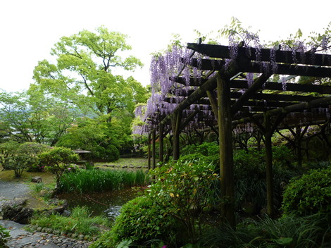 P1370301.JPG