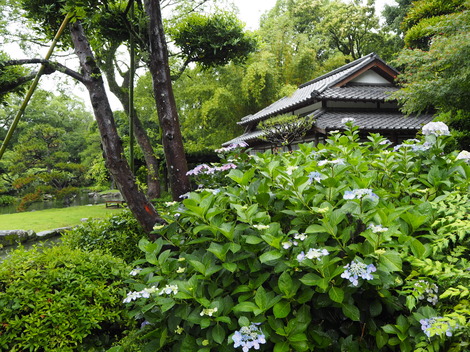P6110059.JPG