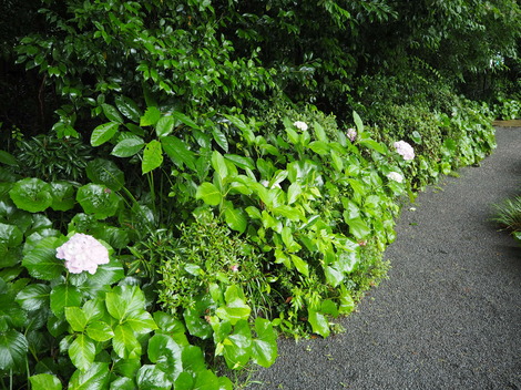 P6110071.JPG