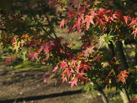 PB160137.JPG
