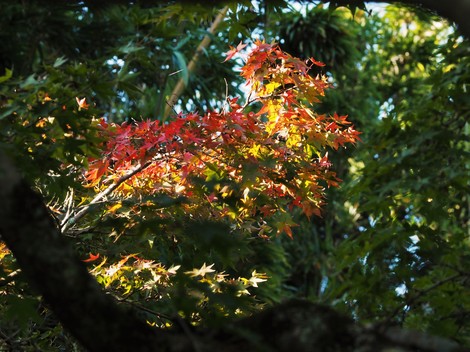 PB160144.JPG