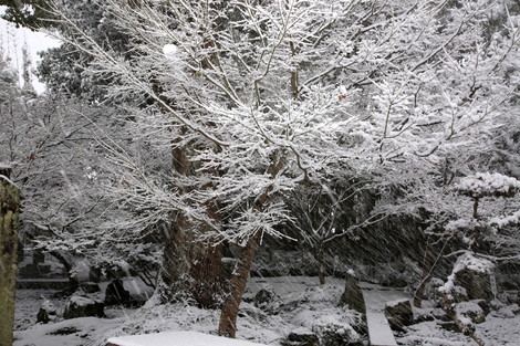dc020635.jpg