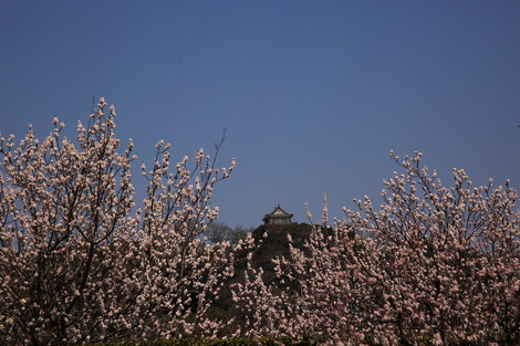 dc032339.jpg
