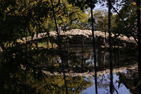 dc040352.JPG