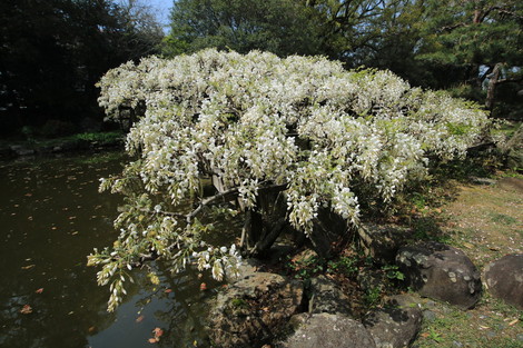 dc041112.jpg