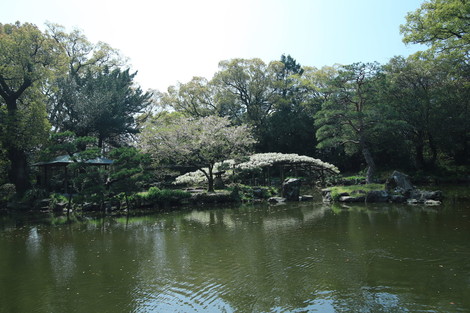 dc041122.jpg