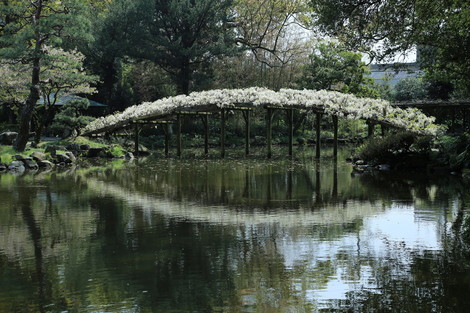 dc041153.jpg