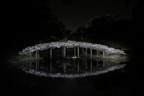 dc041631.jpg