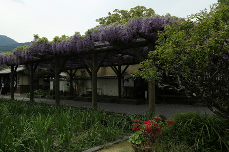 dc042257.jpg