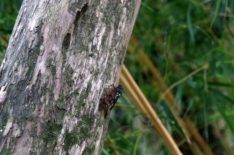 dc082935(C1).JPG
