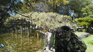 20110413131117.jpg